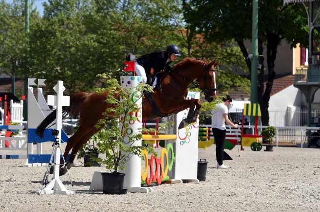 stade equestre vichy